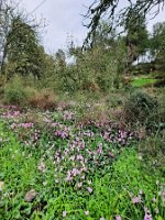 IMG-20250212-WA0002b