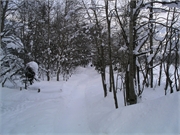 200503grindelwald008