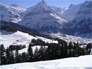 200503grindelwald025
