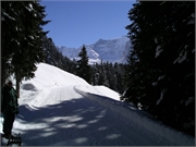 200503grindelwald029