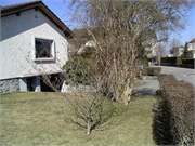 200503grindelwald042