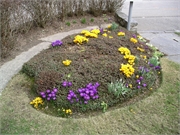 200503grindelwald043