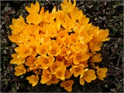 200503grindelwald044