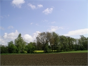 2006Fruehling01