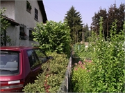 2006Fruehling32