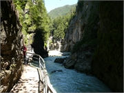 20080803-Aareschlucht-38
