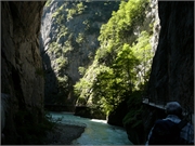 20080803-Aareschlucht-40