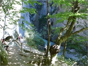20080803-Aareschlucht-45