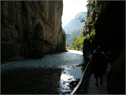 20080803-Aareschlucht-53